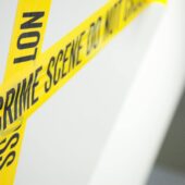  Sproing Pics (34/90)